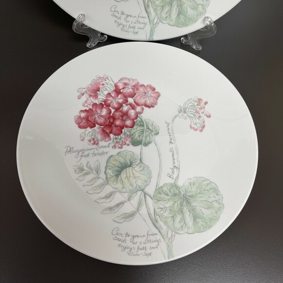 Lenox Geranium Artist Sketchbook by Louise Le Luyer Dinner Plates 11" Lot of 2 - Picture 3 of 11